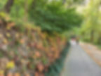Ansan Jarak-gil Trail
