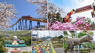 Seoul Land Theme Park 1 Day Pass + Sky Lift