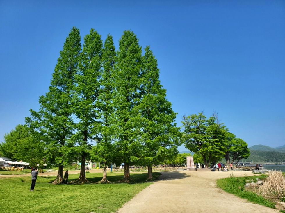 Yangpyeong - Dumulmeori - Summer