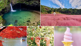 Sanjeong Lake, Apple Farm, Waterfall & Pocheon Herb Island Day Tour