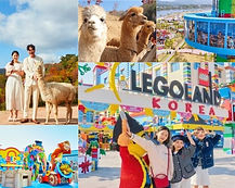 Legoland Korea & Alpaca World Day Tour