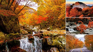 Jirisan Autumn Foliage & Cheoneunsa Temple Day Tour