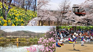 Hwadam Botanic Garden & Korean Folk Village Day Tour