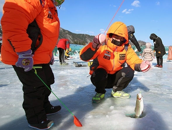🎣Pyeongchang Trout Festival