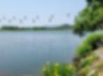 Seoul Grand Park - Gwacheon Lake & Sky Lift