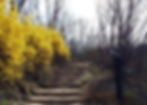 Ansan Mountain in Spring