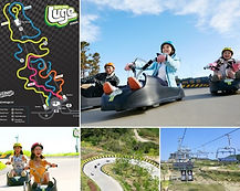 Skyline Luge Busan Ticket
