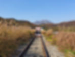 Gangchon Rail Bike - Autumn