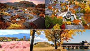 Jinhae Cherry Blossom Festival