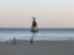 Haeundae Beach - Sunset