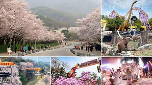 Seoul Land Theme Park 1 Day Pass + Sky Lift + Seoul Zoo