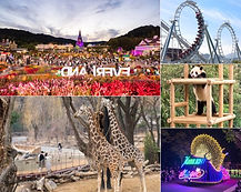 Everland Day Tour (Admission, Tour Guide & Round Trip Transfers)