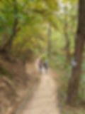 Ansan (Mt.) Summit descend towards Metasequoia Forest
