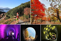 Nami Island, Petite France, Italian Village & Gangchon Rail Bike Day Tour
