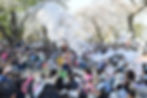 Gyeongju Daereungwon Stone Wall Road Festival