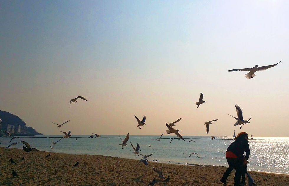 Haeundae Beach