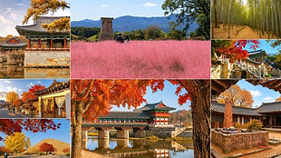 Jinhae Cherry Blossom Festival