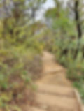 Ansan (Mt.) Beacon Mound Summit - Descend