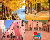 Nami Island, Petite France & Italian Village Day Tour