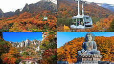 Mt. Seorak National Park Autumn Foliage Day Tour