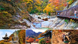 Seoraksan National Park & Sinheungsa Temple Day Tour
