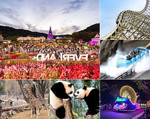 Everland Day Tour (Admission, Tour Guide & Round Trip Transfers)