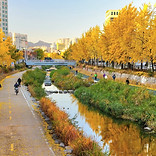 Cheonggyecheon Stream | Seoul, South Korea