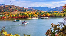 Nami Island Admission Ticket (incl. return ferry)