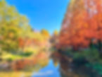 Seoul Grand Park - Autumn - Scenic Lake View
