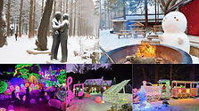Nami Island & Garden of Morning Calm Day Tour
