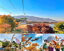 Seoul Land Theme Park 1 Day Pass + Sky Lift