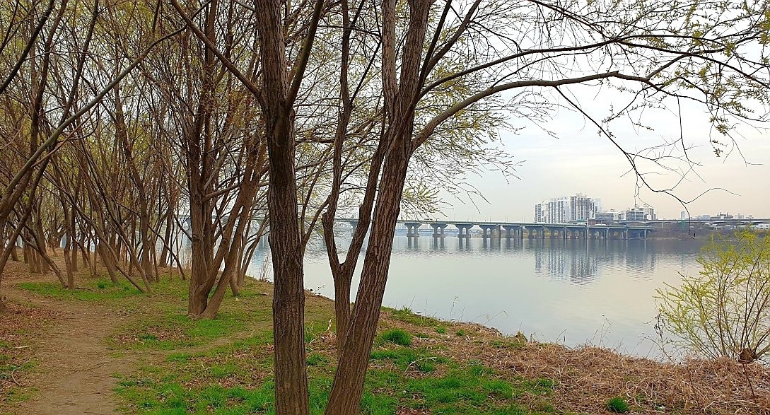 Han River 8 Best Hangang Parks Han River Views Koreatodo