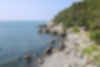 Dongbaekseom Island - Coastal Trail