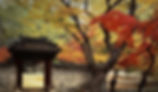Changdeokgung Palace & Secret Garden