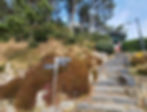 Stone stairway opposite lighthouse observatory