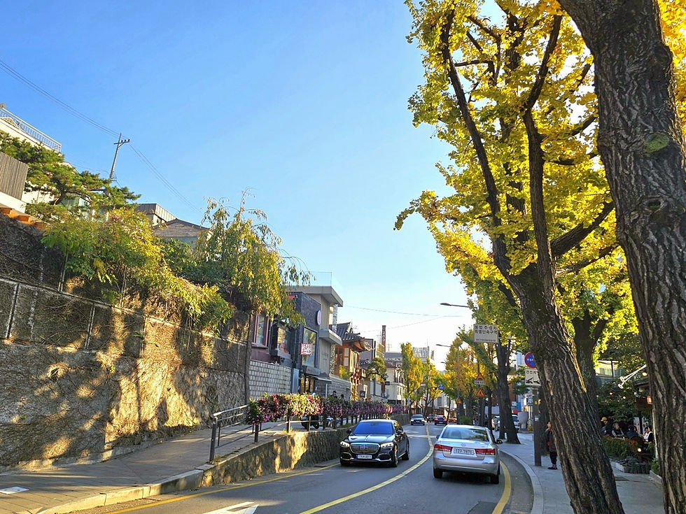 Samcheongdong - Samcheong-ro - Autumn