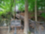 Seoul Grand Park - Scenic Lake View