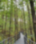 Ansan Jarak-gil Trail