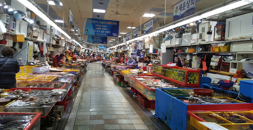 Jagalchi Fish Market - Indoor Fish Market & Getting There | Busan, South Korea