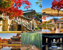 Gyeongju UNESCO Legacy Tour (National Museum)