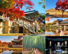 Gyeongju UNESCO Legacy Tour (National Museum)