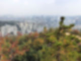 Mid-way from Ansan (Mt) Summit Descend - Observatory - View