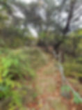Trail to Ansan Mountain Top