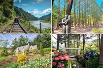 Nami Island, Gangchon Rail Bike & Garden of Morning Calm Day Tour