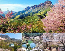 Seoraksan National Park, Nami Island & Garden of Morning Calm Day Tour