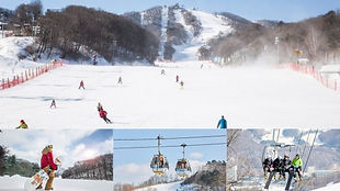 Phoenix Park Ski/Snowboard/Lesson/Sheep Farm Day Tour