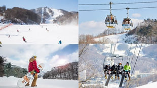 Phoenix Park Ski/Snowboard/Lesson/Sheep Farm Day Tour