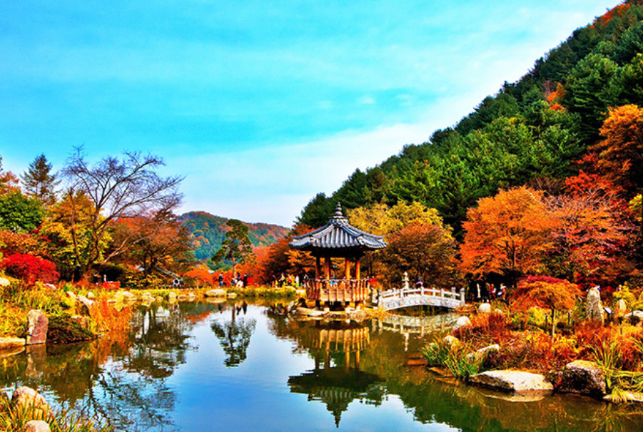 The Garden of Morning Calm