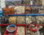 Gwangalli Beach - Millak Fisherman's Live Fish Market - Live seafood