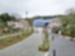 Seoul Grand Park - Walk Around Park
